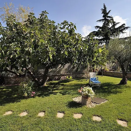 Apartment Apartment Vita Poreč