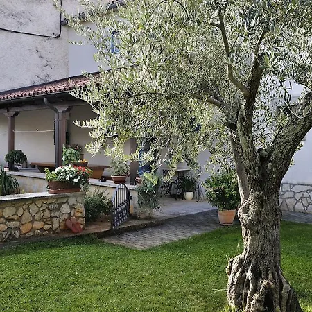 Apartment Vita Lejlighed *